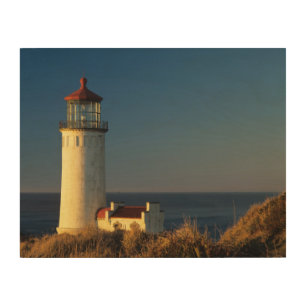 WA, Cape Disappointment State Park, North Head Wood Wall Decor