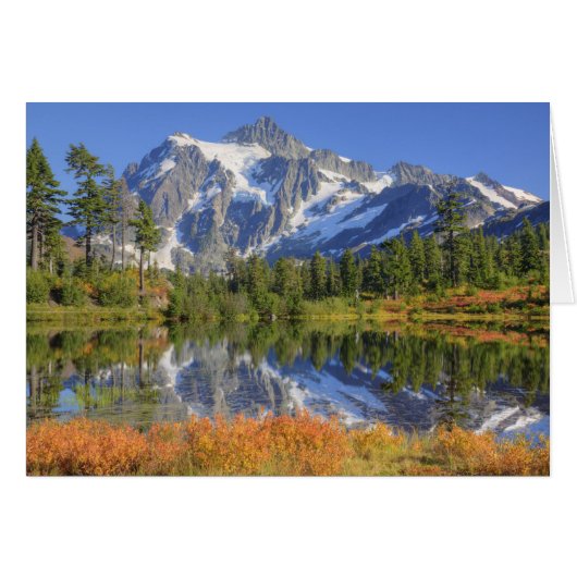 WA, Heather Meadows Recreation Area, Mt. Cards (Front Horizontal)