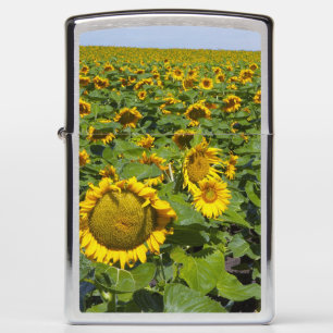 WA, Kittitas County, Sunflower Field Zippo Lighter