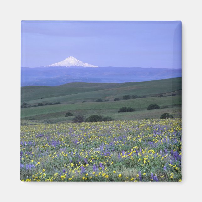 WA, Klickitat County, Dalles Mountain Ranch, Magnet (Front)