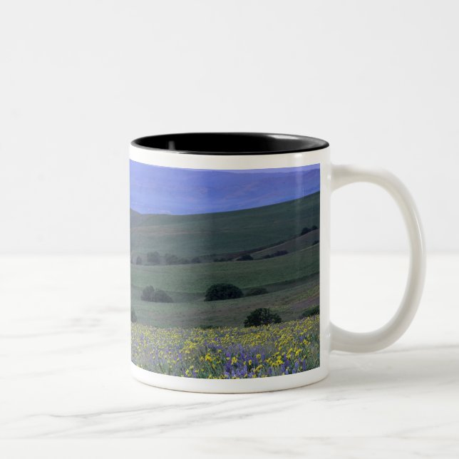 WA, Klickitat County, Dalles Mountain Ranch, Two-Tone Coffee Mug (Right)