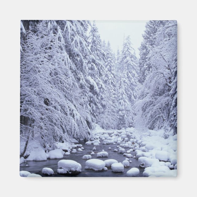 WA, Mount Baker-Snoqualmie National Forest, Magnet (Front)