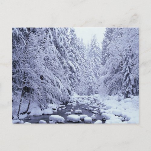 WA Mount Baker_Snoqualmie National Forest Postcard