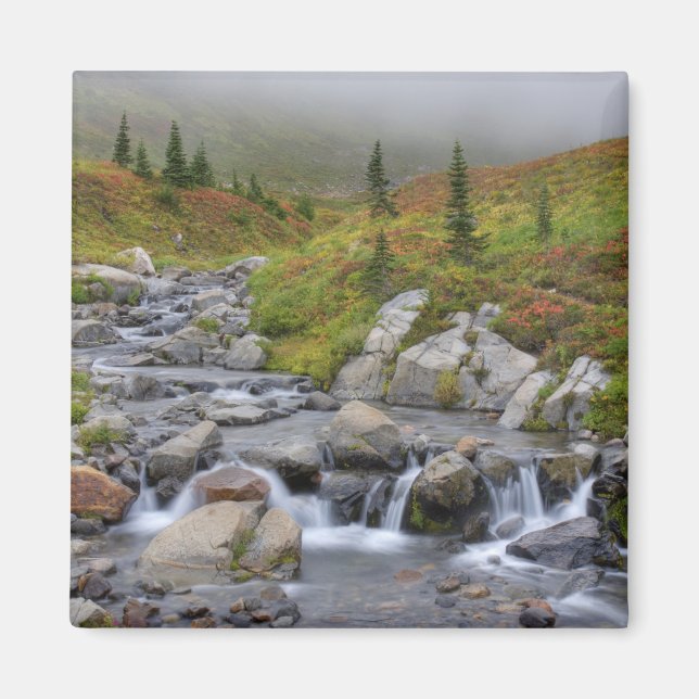 WA, Mt. Rainier National Park, Edith Creek Magnet (Front)
