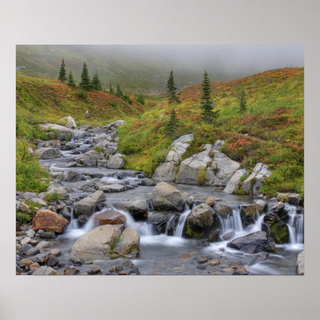 WA, Mt. Rainier National Park, Edith Creek Poster (Front)