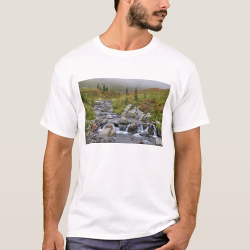 WA Mt Rainier National Park Edith Creek T_Shirt