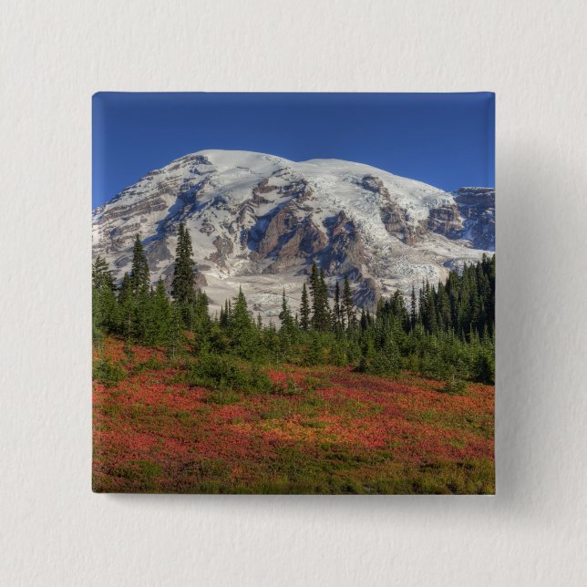 WA, Mt. Rainier National Park, Paradise Valley Button (Front)
