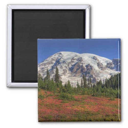 WA Mt Rainier National Park Paradise Valley Magnet