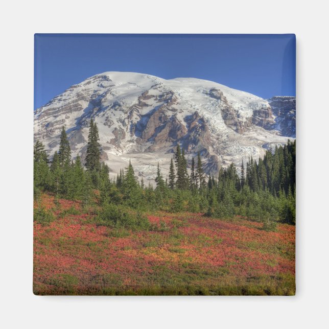 WA, Mt. Rainier National Park, Paradise Valley Magnet (Front)