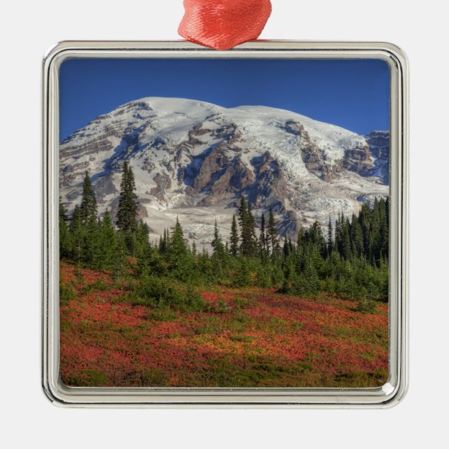 WA, Mt. Rainier National Park, Paradise Valley Metal Ornament (Front)