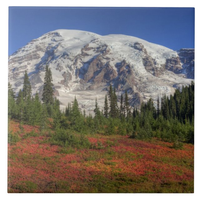 WA, Mt. Rainier National Park, Paradise Valley Tile (Front)