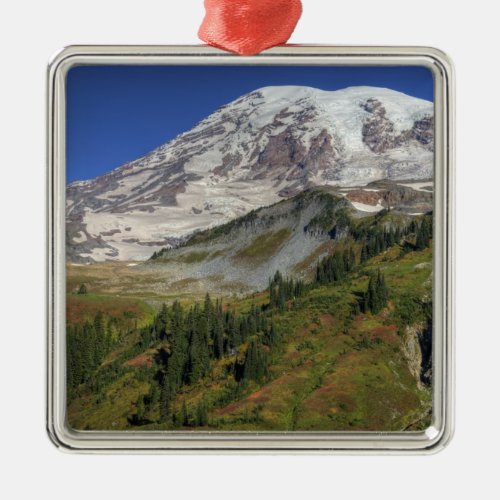 WA Mt Rainier National Park view from the Metal Ornament