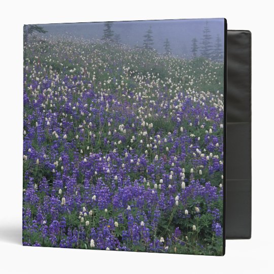 WA, Mt. Rainier NP, Lupine and Bistort meadow Binder