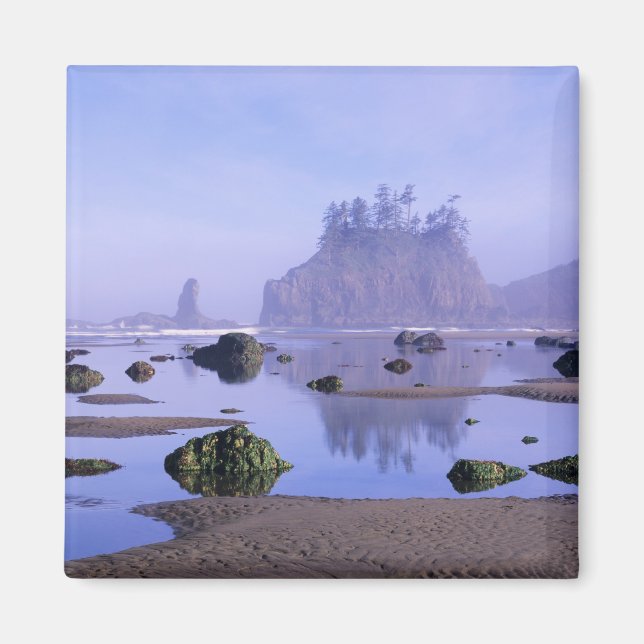 WA, Olympic National Park, Second Beach, Magnet (Front)
