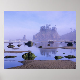 WA, Olympic National Park, Second Beach, Poster