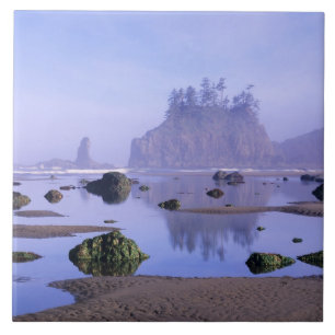 WA, Olympic National Park, Second Beach, Tile