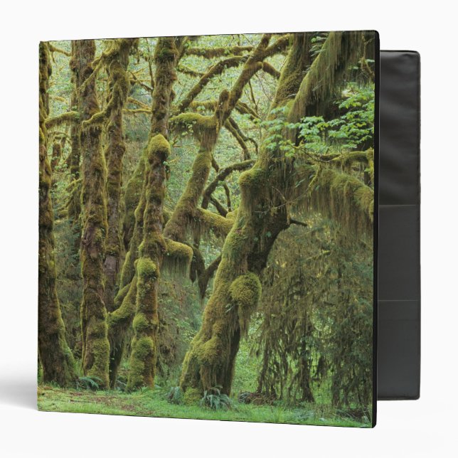 WA, Olympic NP, Hoh Rain Forest, Hall of Binder (Front/Inside)