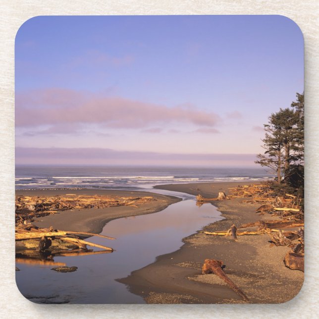 WA, Olympic NP, Kalaloch Beach and Kalaloch Beverage Coaster (Front)