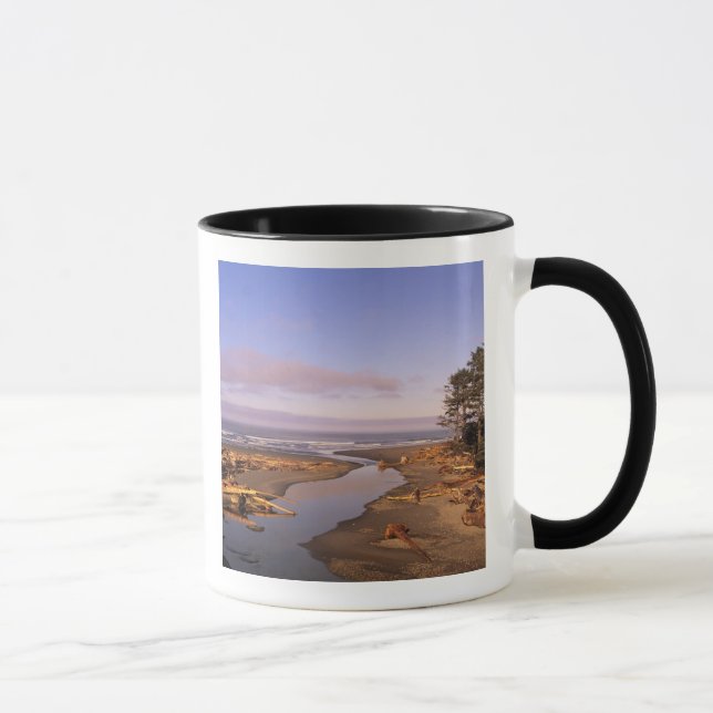 WA, Olympic NP, Kalaloch Beach and Kalaloch Mug (Right)