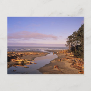 WA, Olympic NP, Kalaloch Beach and Kalaloch Postcard