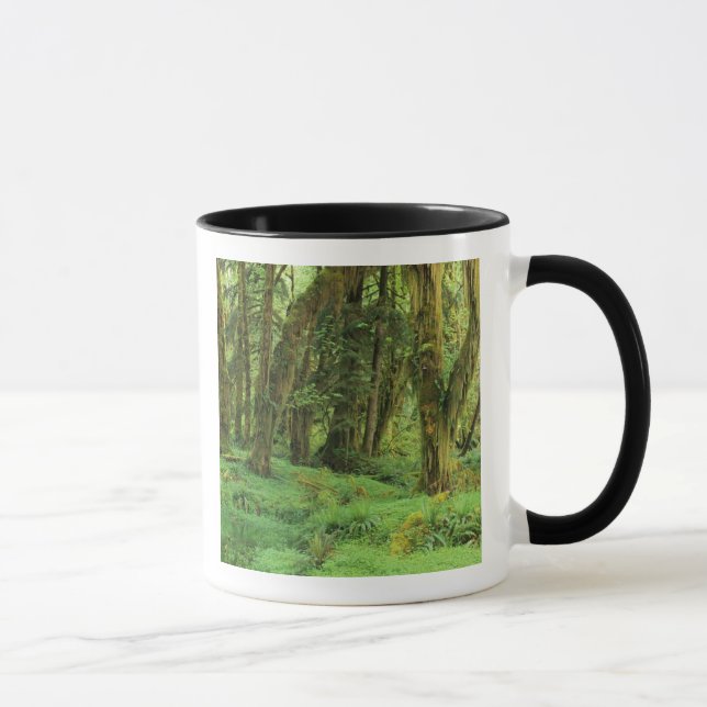 WA, Olympic NP, Quinault Rain Forest, moss Mug (Right)