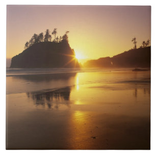 WA, Olympic NP, Second Beach at sunset Tile
