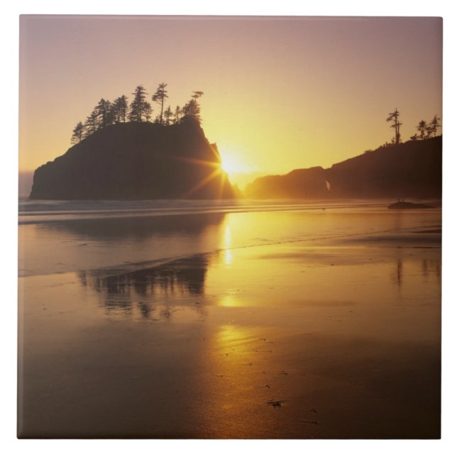 WA, Olympic NP, Second Beach at sunset Tile (Front)