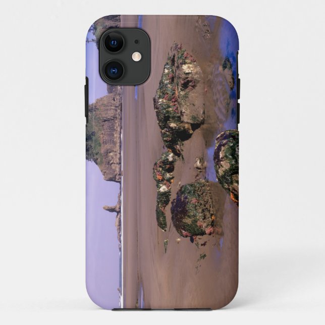 WA, Olympic NP, Second Beach with tidepools and Case-Mate iPhone Case (Back)