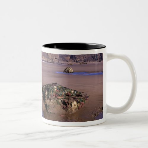 WA Olympic NP Second Beach with tidepools and Two_Tone Coffee Mug