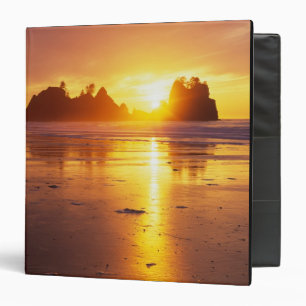 WA, Olympic NP, Shi Shi beach at sunset, Point Binder