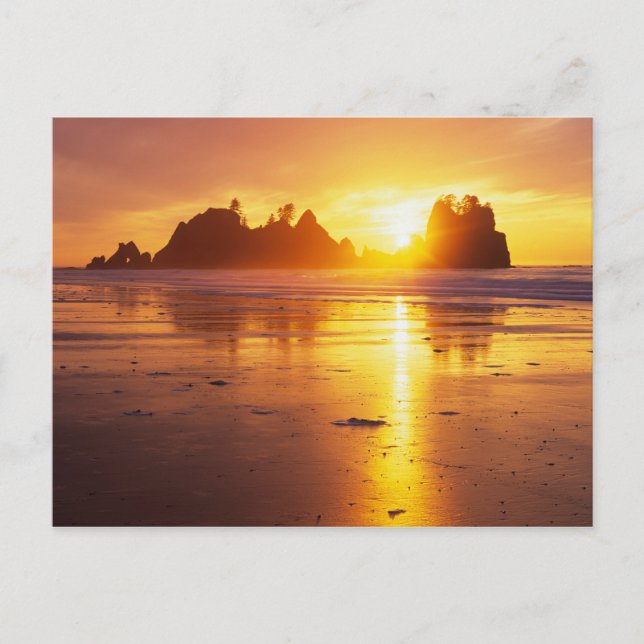 WA, Olympic NP, Shi Shi beach at sunset, Point Postcard (Front)