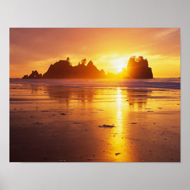 WA, Olympic NP, Shi Shi beach at sunset, Point Poster (Front)