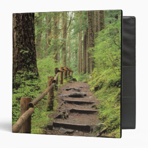 WA, Olympic NP, Sol Duc Valley, rainforest 3 Ring Binder