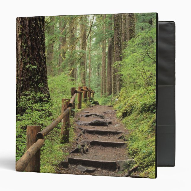 WA, Olympic NP, Sol Duc Valley, rainforest 3 Ring Binder (Front/Inside)