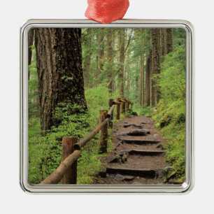 WA, Olympic NP, Sol Duc Valley, rainforest Metal Ornament
