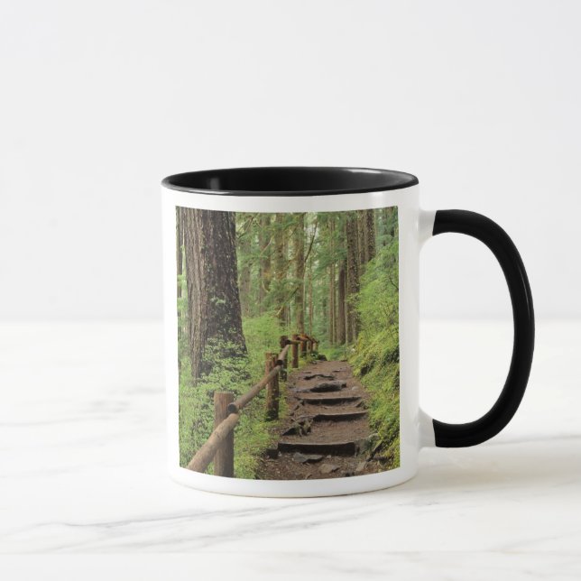 WA, Olympic NP, Sol Duc Valley, rainforest Mug (Right)