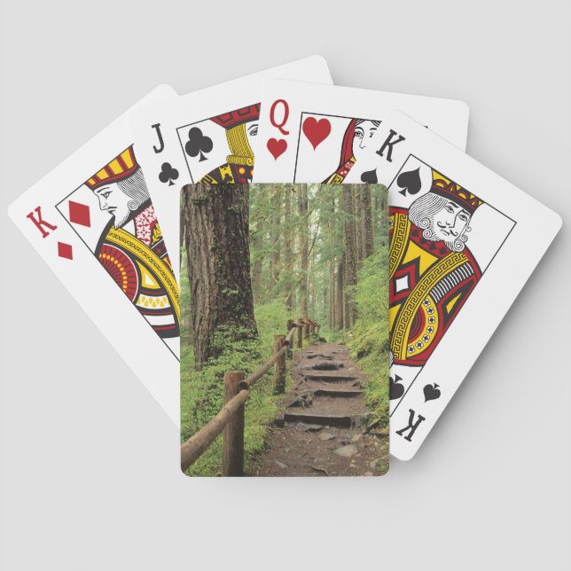 WA, Olympic NP, Sol Duc Valley, rainforest Poker Cards (Back)