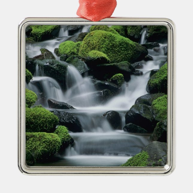 WA, Olympic NP, Sol Duc Valley, stream with Metal Ornament (Front)