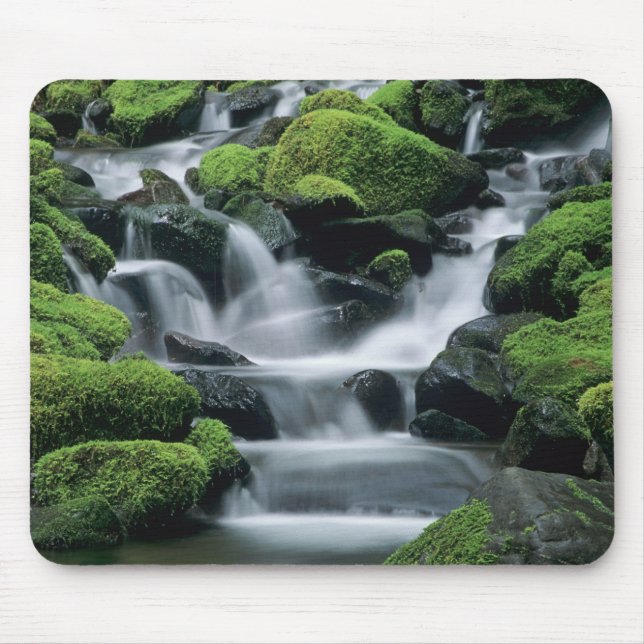 WA, Olympic NP, Sol Duc Valley, stream with Mouse Pad (Front)