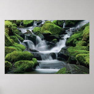 WA, Olympic NP, Sol Duc Valley, stream with Poster