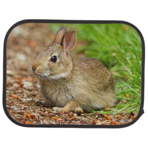 WA Redmond Eastern Cottontail baby rabbit Car Floor Mat