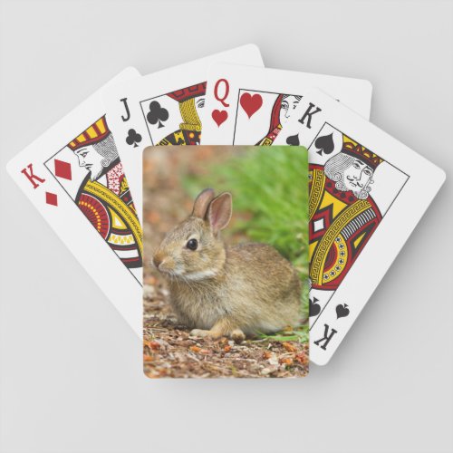 WA Redmond Eastern Cottontail baby rabbit Poker Cards