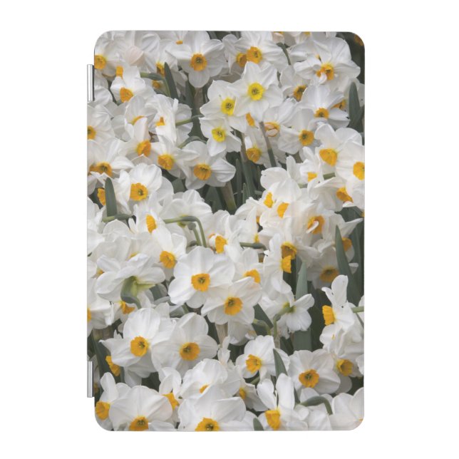 WA, Skagit Valley, Daffodil pattern iPad Mini Cover (Front)