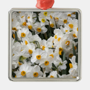 WA, Skagit Valley, Daffodil pattern Metal Ornament