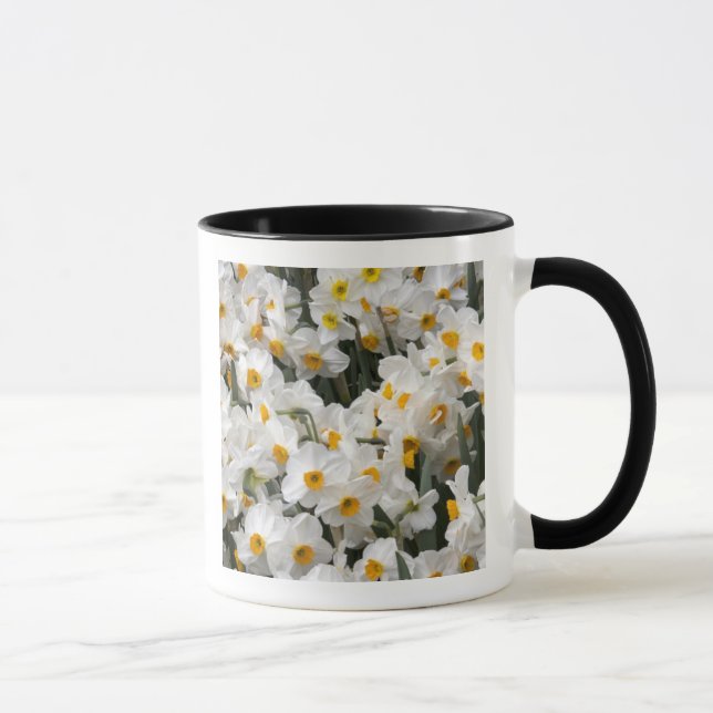WA, Skagit Valley, Daffodil pattern Mug (Right)