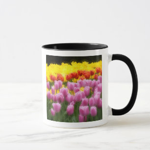 WA, Skagit Valley, Roozengaarde Tulip Garden, 2 Mug