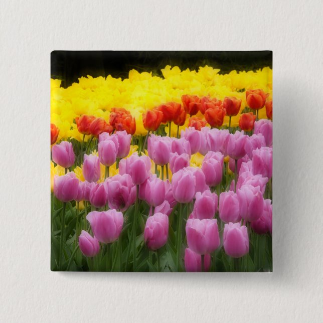 WA, Skagit Valley, Roozengaarde Tulip Garden, 2 Pinback Button (Front)