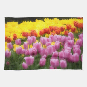 WA, Skagit Valley, Roozengaarde Tulip Garden, 2 Towel