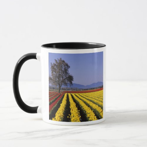 WA Skagit Valley Skagit Valley Tulip 2 Mug