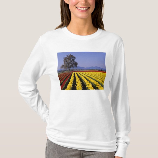 WA, Skagit Valley, Skagit Valley Tulip 2 T-Shirt (Front)
